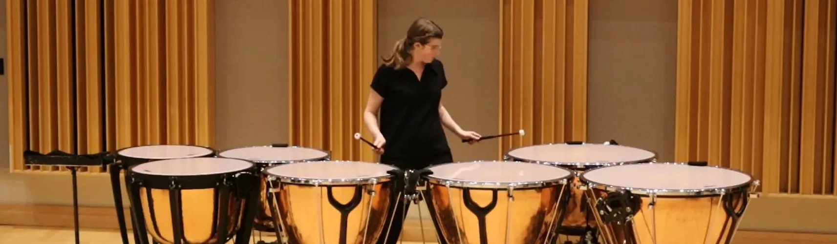 Liz Morad performing on a row of copper timpani